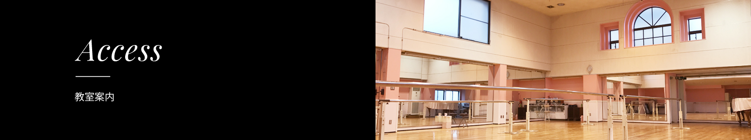 Access 教室案内